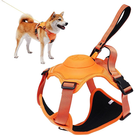 All-in-one Dog Harness & Leash