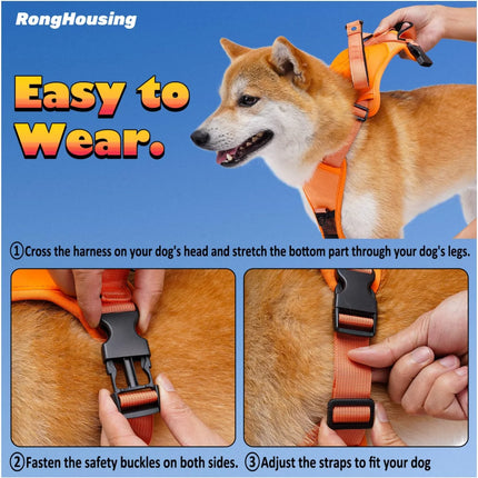 All-in-one Dog Harness & Leash