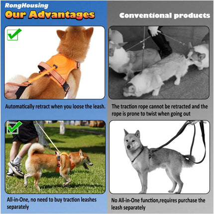 All-in-one Dog Harness & Leash